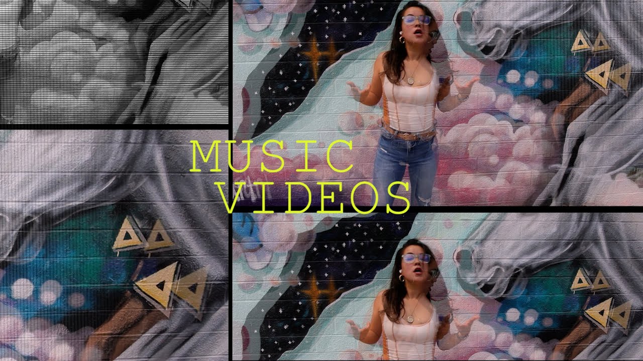 Mildly Distorted Promo Video