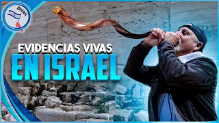 Evidencias Vivas En Israel De La Advertencia De Jesus