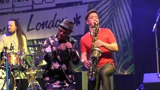 The Dualers - Don't Stay out Late chords