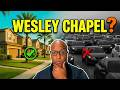 Relocating to the Wesley Chapel Florida | What are the Pros and Cons? | Moving to Tampa Bay