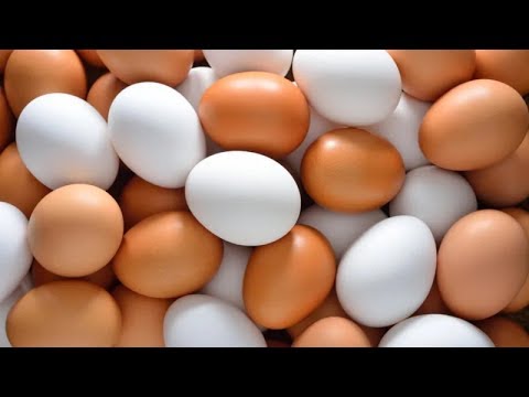 Видео: Өндөг ба өндөгний бүтээгдэхүүн