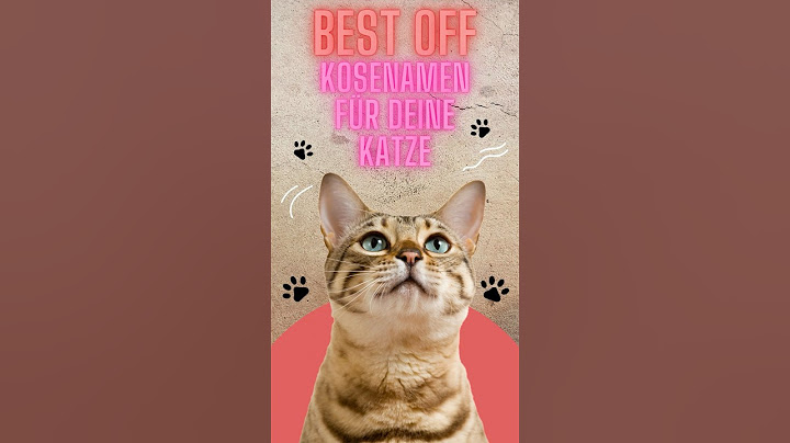 Die lustigsten Kosenamen für Katzen 😹🐾 #funny #katze #cat #witzig #lustig #cute #catlover #cats