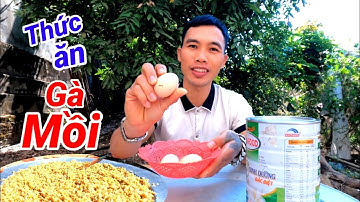 Chia Sẻ Cách Làm Thức Ăn Cho Gà Rừng và Gà Mồi | Hoàng Thắng