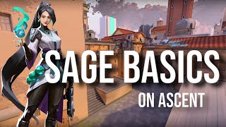 Sage Ascent Guide | Beginners Guide