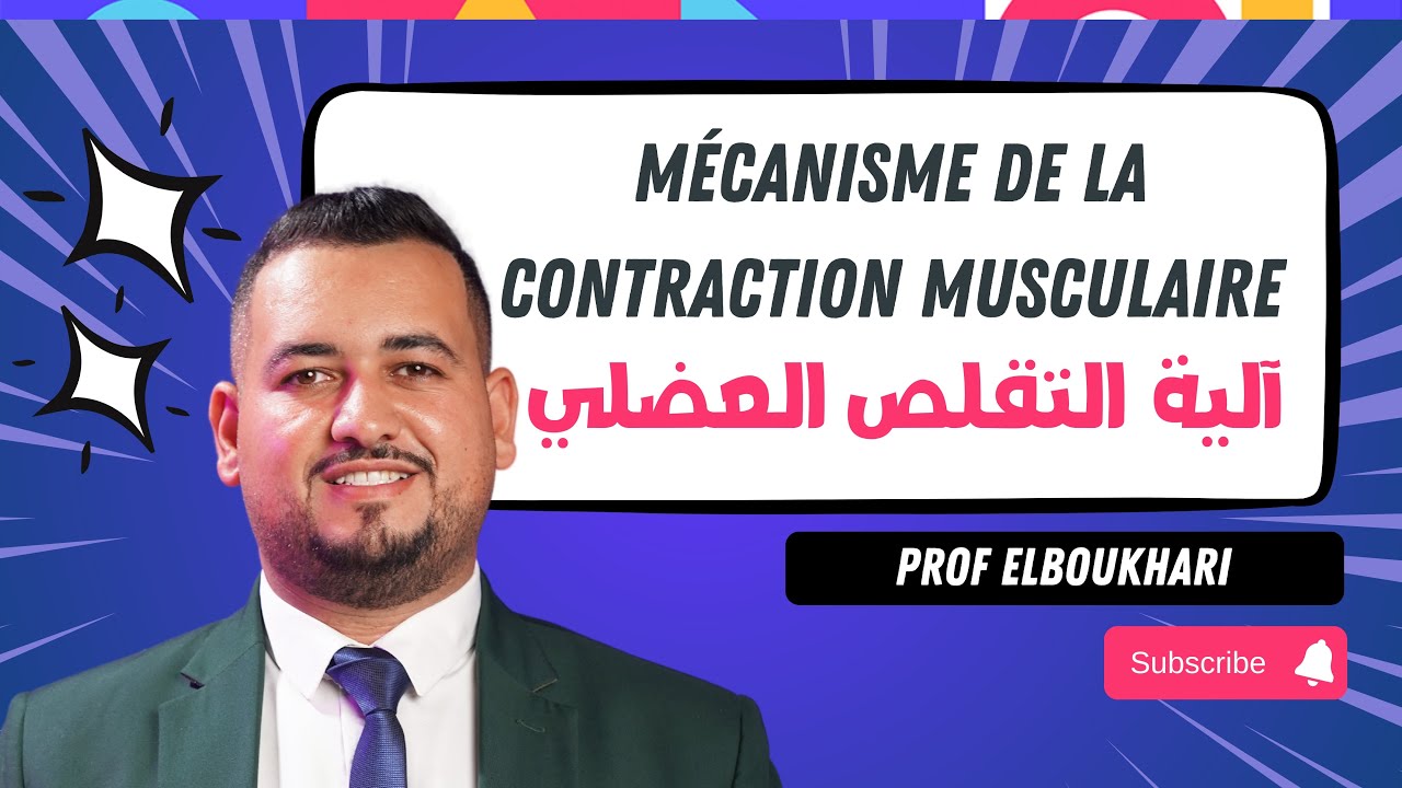 Partie 3 : Mécanisme de la contraction musculaire آلية التقلص العضلي