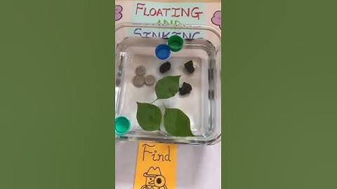 Floating & sinking working project#school #projects#science #working model#model #science#kidslearn