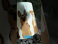 unwrapping love 😊 #animallover #dogs