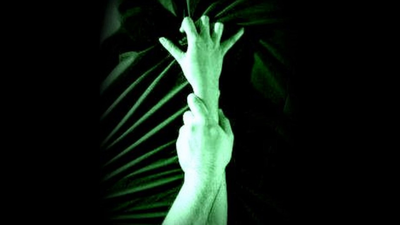 Dramione Fanfiction Hörbuch Kapitel 41 Grüne Satinbettwäsche