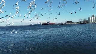 Muskegon Lake, Muskegon, MI.