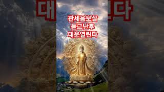 듣기만해도된다 관세음보살 관세음보살 마하살 #소원 #불교음악 #love횡재수·재물복 폭발! 천둥소리와 함께 듣는 소원성취 불교진언