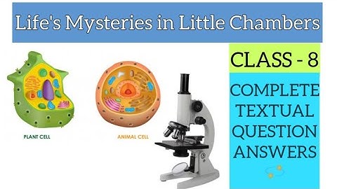 Class - 8 | B. S | Life