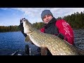 Ловля Щуки осенью на озере. Поймал Щуку крупнее, чем весной. Рыбалка в Эстонии. Озеро Консу.
