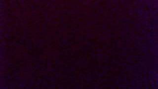 Capture_20100814.wmv