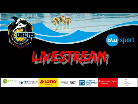 1. Bundesliga | Orcas - WSF Spandau