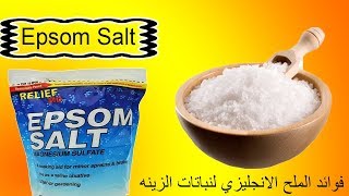 بجنيه و نصف اقوى سماد لنباتات  الزينة الملح الانجليزى Epsom  salt
