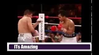 Manny Pacquiao vs  David Diaz - Knockout Highlight