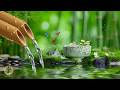 Soothing Relaxation Music Bamboo Water Sounds Relieve Stress Anxiety And Depression Deep S mp3