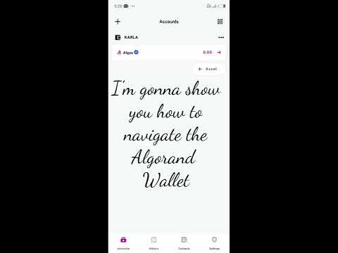 HOW TO NAVIGATE THROUGH THE ALGORAND WALLET
