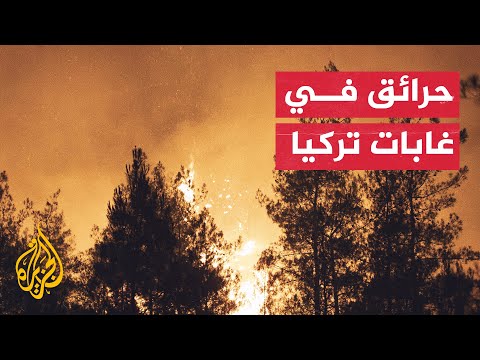 شاهد| حريق هائل في غابات مدينة مرمريس التركية