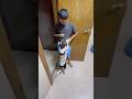 #youtubeshorts  #dogshorts #dog #funnydog #cute #dailyvlog #subscribe #mitaldubaivlog