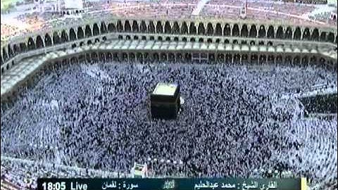 القارئ محمد عبدالحليم الصباغ