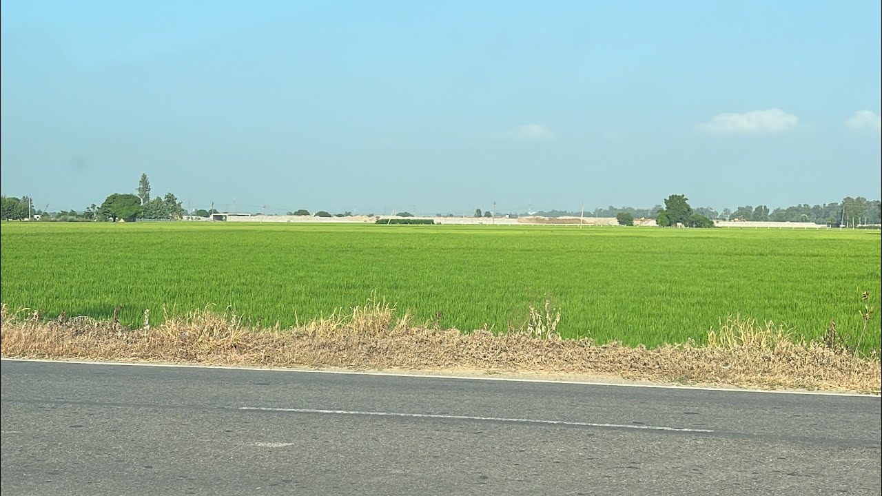 World 🌎 Physiotherapy Day 8 September 2023 # Strong Decisions At Day Of Physiotherapy