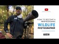 How to become a Professional Wildlife Photographer