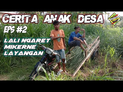 CERITA ANAK DESA[mencari rumput] eps 2 