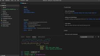 Example: Undefined, NULL & NaN [ENG] Module 2 Lecture 9 ZE - 214