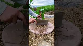 ST 79000528 mini rotary tillage and ridging all-in one tree 🌴