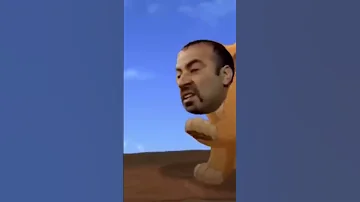 الاسد سيمبا 