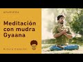 Meditación guiada con mudra Gyaana | Introducción a Samadhi | Arturveda