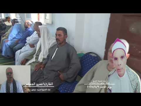 القارئ عمرو الجماس فى عزاء القارئ صبرى توفيق سعد القطعانى بقرية السرو تبع بسنتواى تصوير عبد القادر القارئ عمرو الجماس فى عزاء القارئ صبرى توفيق سعد القطعانى بقرية السرو تبع بسنتواى تصوير عبد القادر