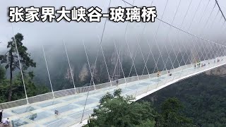 张家界大峡谷网红玻璃桥！不愧是世界之最，绝佳拍照打卡地！【行走世界的北京老刘】