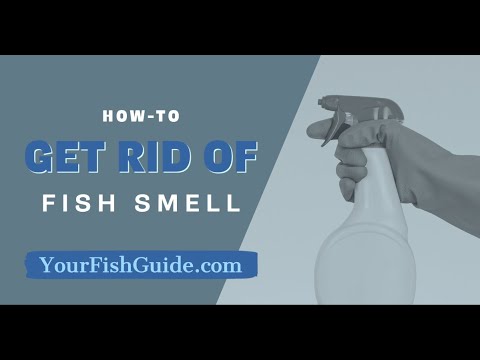 How To Get Rid Of Fish Smell In YOUR Kitchen ~ 12 Ways of Getting Rid of Fishy Smell