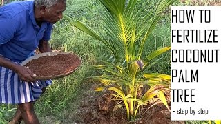 Organic fertilizer for Coconut Farming / How to fertilize Coconut palm tree / Coconut Cultivation