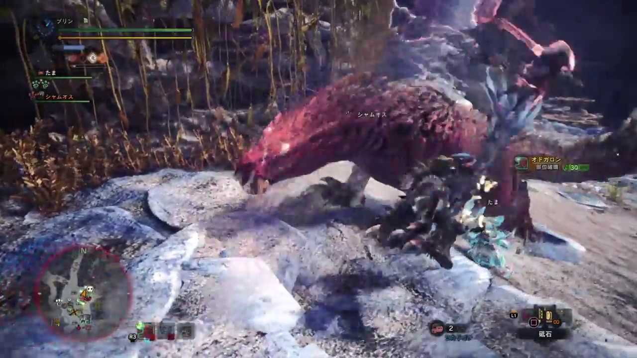 Mhw 操虫棍 ソロ 涼爪と惨爪が交わる場所 7フリークエスト オドガロン レイギエナの狩猟 モンスターハンター ワールド 148 モンハンワールド Youtube