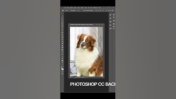 How to remove background in photoshop CC.