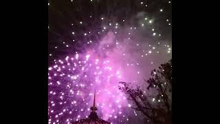 مشاهده الألعاب النارية في الهواء الطلق عام جديد سعيد ??