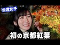 【京都】初めて夜に紅葉!日本の美しさにうっとり...