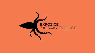 Nové expozice // Zázraky evoluce