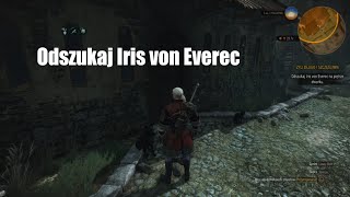 Odszukaj Iris Von Everec Na Piętrze Dworku