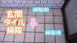 掃除 オキシクリーンで玄関タイル掃除 米どころ新潟 田舎生活 Youtube