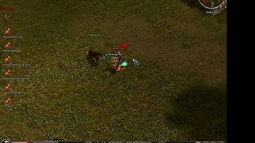 Metin2 RO capitanul bestie vs. Gallardo