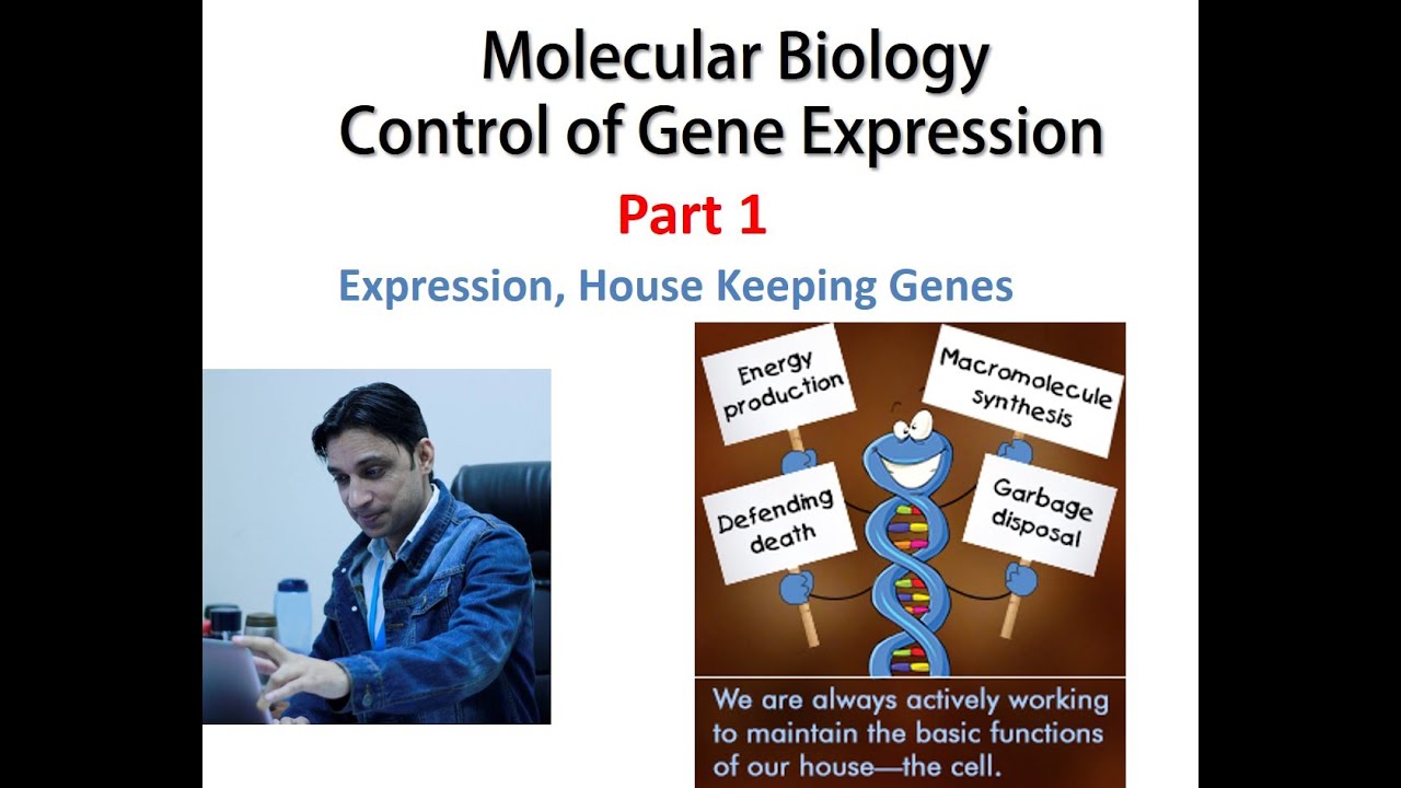 Molecular Biology: Control of Gene Expression Part 1 - YouTube