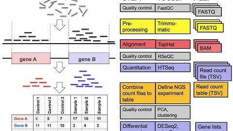 ECOM 6349 | Student Participations | RNA Seq