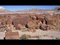 On The Trail: Petrified Forest National Park