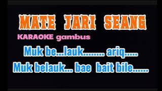 Mate jari seang karaoke gambus kolet viral TikTok