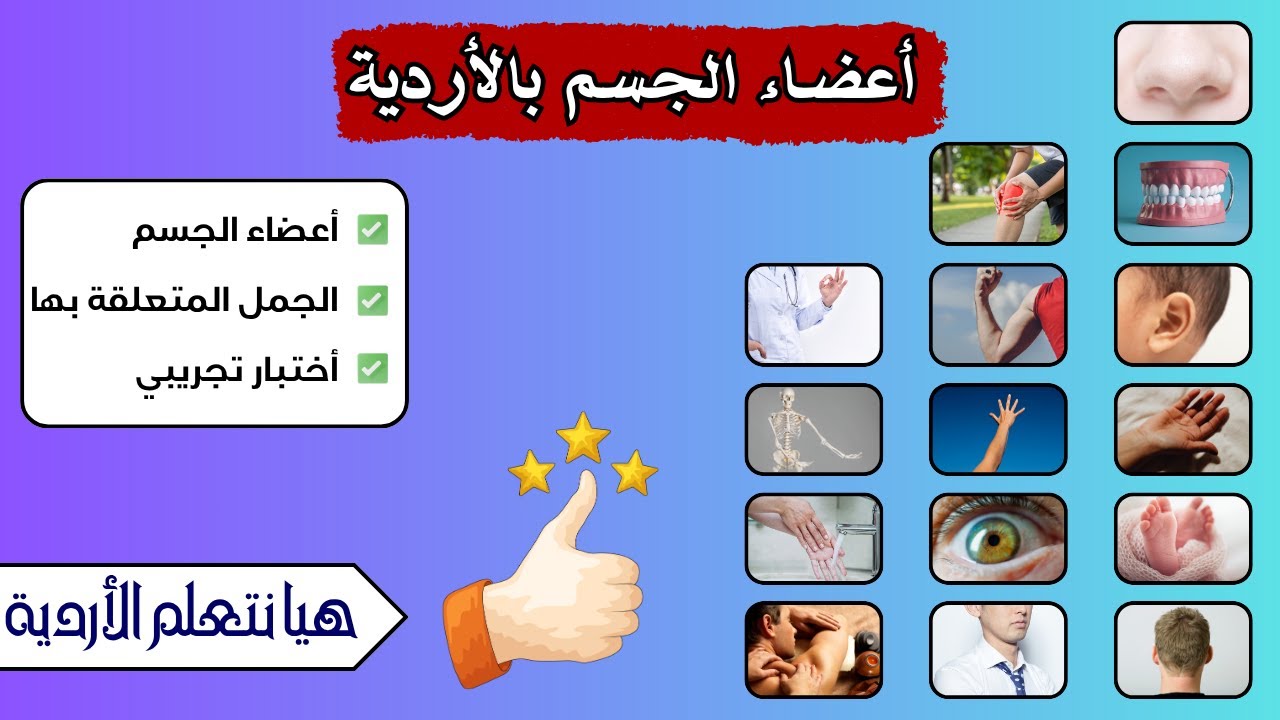 أسماء أعضاء الجسم بالأردية والعربية | الأردو للعرب | هيا نتعلم الأردية | @UrduinArabic