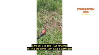 Review MAXLANDER 18-Inch Cordless Pole Hedge Trimmer, 16-Feet Max Reach Hedge Trimmer with Extension